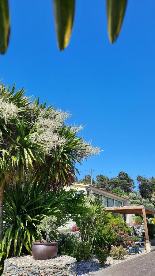 Quinta Das Regueiras ヴィゼウ エクステリア 写真