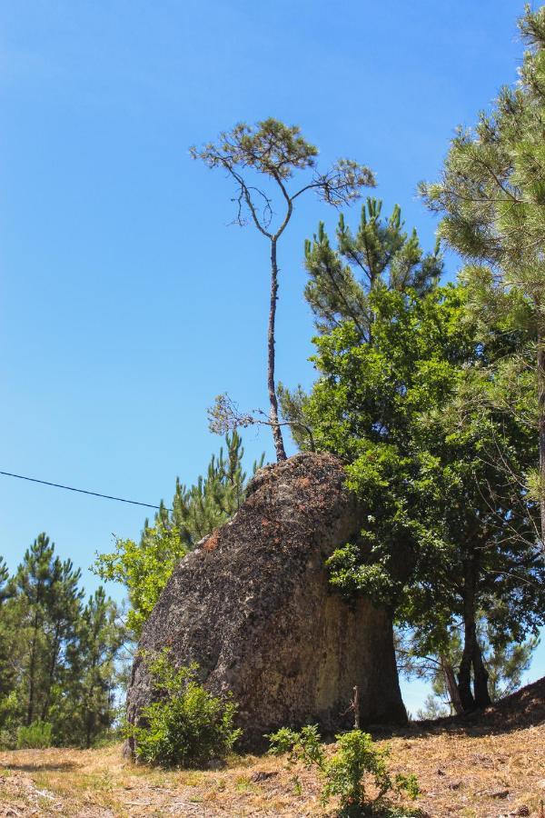 Quinta Das Regueiras ヴィゼウ エクステリア 写真