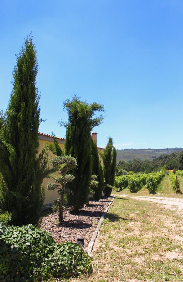 Quinta Das Regueiras ヴィゼウ エクステリア 写真